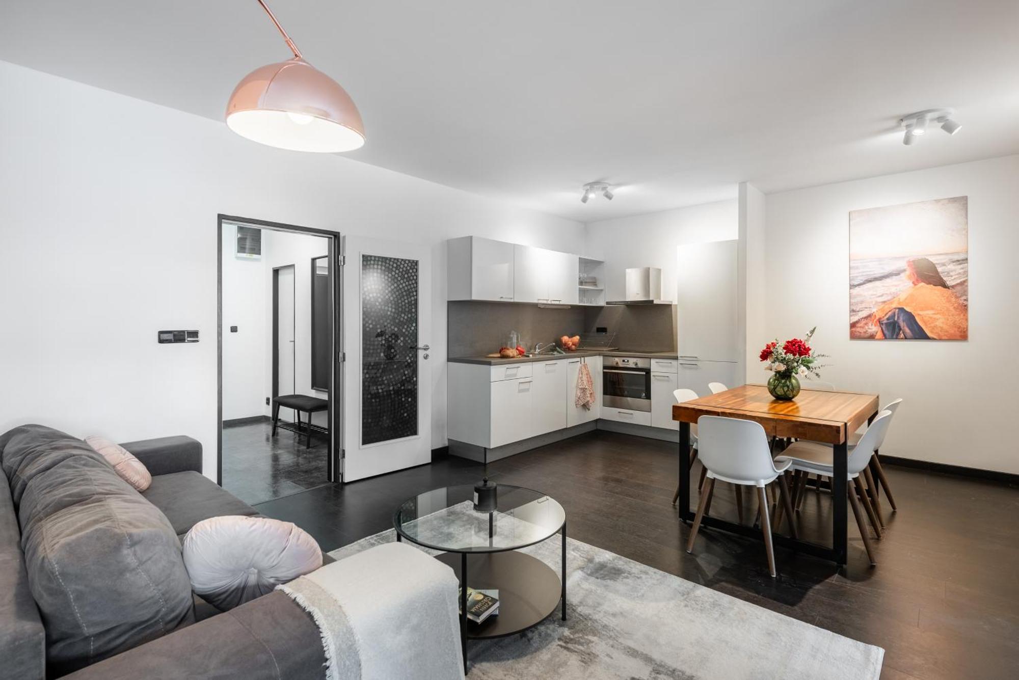 פראג Spacious Apartments Near Karlin Square מראה חיצוני תמונה